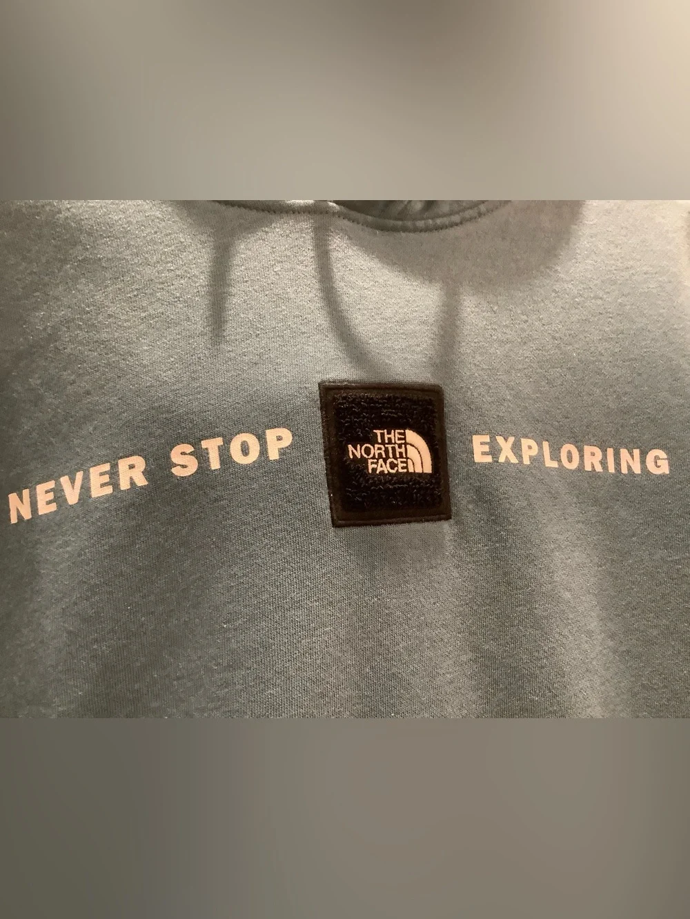The North Face Men’s Blue hoodie